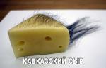 Сыр Ара